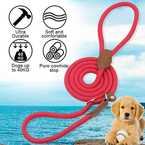 Supet Perros Correa Antideslizante con Tope de Tracción Correa de Moxon Trenzada Suave y Duradera con Collar Correa Retriever Ajustable para Perros Pequeños, Medianos y Grandes