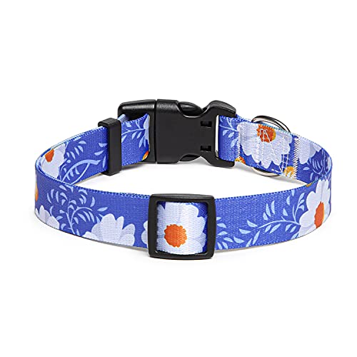 Suredoo Collar Perro, Ajustable y Resistente con Patrones de Moda, Collar Nylon Cómodos para Perros Pequeños Medianos Grandes, Cachorros (S, Margarita)