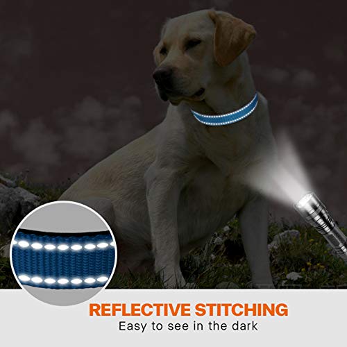 Taglory Collar Perro, Collar Nylon Reflectante Neopreno Forrado Ajustable para Perros Grandes, Cielo Azul