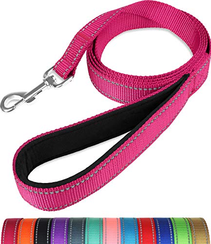 Taglory Correa Perro Reflectante, Mango Acolchado Suave y Gancho de Metal, Correas Adiestramiento para Perros Pequeño, 1.2m x 2.0cm, Fucsia