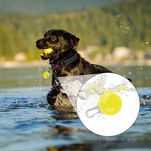 Taglory Luz LED Collares para Perro Clip-on, Luces de Seguridad Coloridas para Perros y Gatos, Collar Luminoso Perro Luz Impermeable, Colgante Perro Luz LED Noche(2 Baterías Adicionales), Amarillo