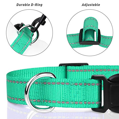 TagME Collar Perro Ajustable,Collar Nylon Reflectante,para Caminar Correr Entrenamiento,para Perros Pequeños,Turquesa,1.5cm De Ancho