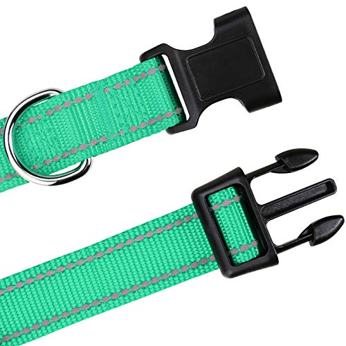 TagME Collar Perro Ajustable,Collar Nylon Reflectante,para Caminar Correr Entrenamiento,para Perros Pequeños,Turquesa,1.5cm De Ancho