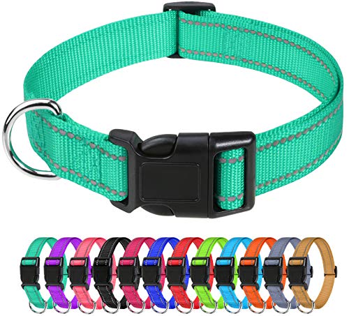 TagME Collar Perro Ajustable,Collar Nylon Reflectante,para Caminar Correr Entrenamiento,para Perros Pequeños,Turquesa,1.5cm De Ancho