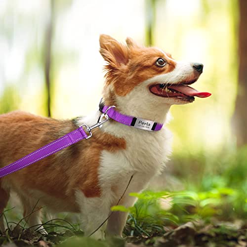 TagME Personalizado Nylon Collares para Perros, Ajustable Reflectante Collar Perro con Acolchados, Etiqueta de Acero Inoxidable Nombre Grabado y Número de Teléfono, Morado