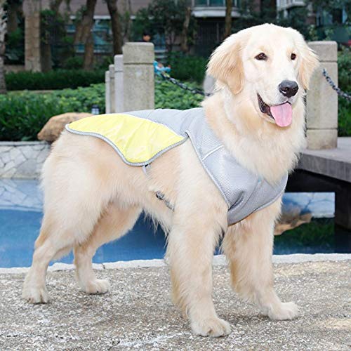 Tekaopuer Chaleco de refrigeración para mascotas, chaqueta para cachorros al aire libre, chaqueta reflectante de seguridad a prueba de sol, abrigo de caza para perros pequeños medianos y grandes (M)