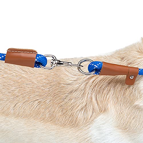 THE MURPH STORE- Set de Correa y Collar para Perro, Correa adiestramiento, Correa Perro, Collar Perro y Correa Anti tirones (M 51CM, Beige)