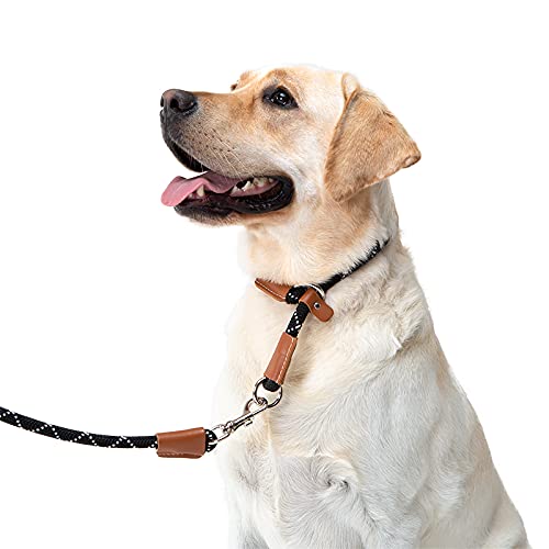 THE MURPH STORE- Set de Correa y Collar para Perro, Correa adiestramiento, Correa Perro, Collar Perro y Correa Anti tirones (M 51CM, Beige)