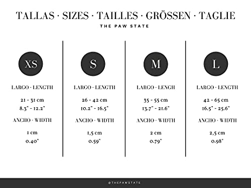 THE PAW STATE | Collar para Perro Ajustable Wonder Doggy | Tallas XS, S, M y L Disponibles | Suave y Resistente | Collar de Perro Diseñado en España | Donamos el 5% a Protectoras Asociadas