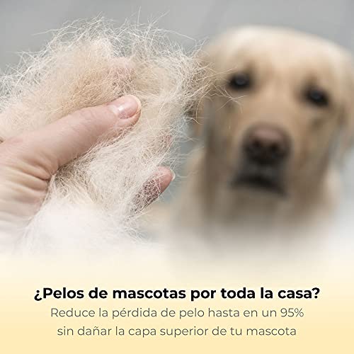 Thunderpaws Peine Profesional para Mascotas, Herramienta de Cuidado para Perros, D-Shedz para Razas de Perros, Gatos con Pelo Corto o Largo, Pequeño, Mediano y Grande (Azul)