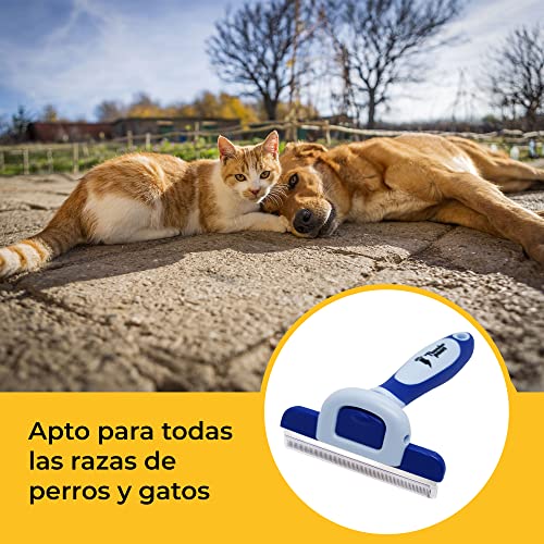 Thunderpaws Peine Profesional para Mascotas, Herramienta de Cuidado para Perros, D-Shedz para Razas de Perros, Gatos con Pelo Corto o Largo, Pequeño, Mediano y Grande (Azul)