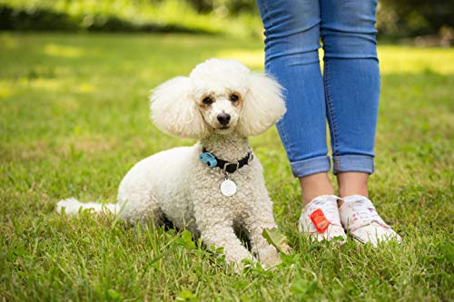 TICKLESS Mini Dog - Dispocitivo ultrasónico recargable, repelente de pulgas y garrapatas para mascotas - Azul