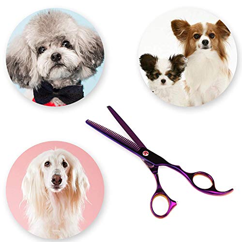 Tijeras Peluquería 7 inch para Mascotas, 5 Piezas de Kit Profesional Recortador de Acero Inoxidable, Tijeras Rectas y Curvas con Peine para Canina Perros Gatos, Cortapelo Perros