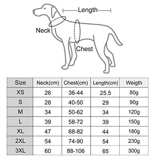 Tineer Mascotas de refrigeración del Chaleco, Chaleco Reflectante Chaleco para Perros más frío de Verano para Perros Grandes Pequeño Mediano Caminar, Subir, Deportes (S)
