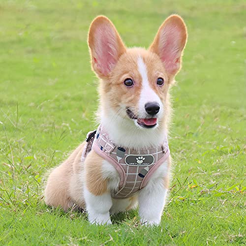 Tirantes para Perros Y Chaleco para Traje De Correa para Cofre De Cadena De Perro Mediano para Cofre De Espalda De Gato-Gray_m Correa Perro Coche Arnés Perro Mediano Arnés Antitirones Perro