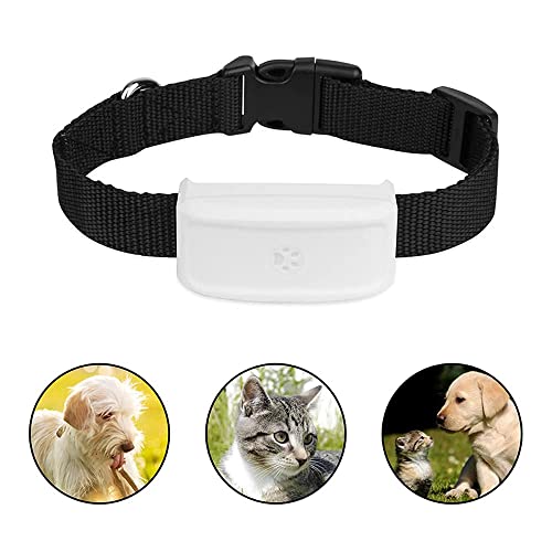 TKMARS Collar GPS Gatos Perros 500mAH de Larga Espera Agua IP66 Localizador GPS para Perros Seguimiento en Tiempo Real Collar GPS Gatos Adecuado para Mascotas Pequeñas con Gratis App TK911