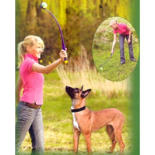 TODOPETS Lanzador de Pelotas con Pelota de Tenis Ok