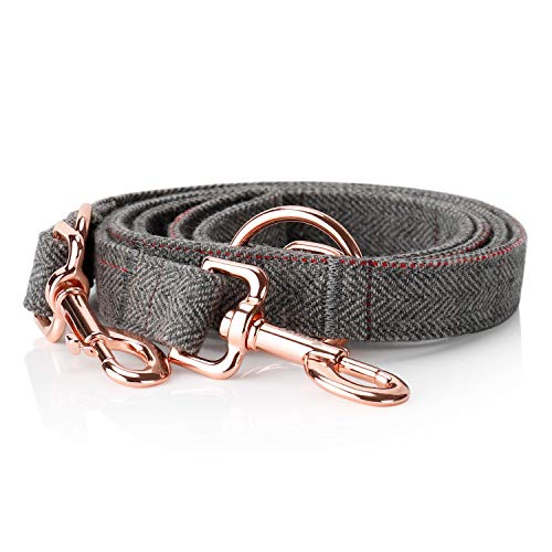 Toozey Correa para perros (2 m) + collar de perro + dispensador de bolsas en set, collar ajustable y correa para perros pequeños hasta perros grandes, excepcionalmente noble y elegante.