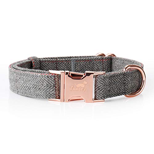 Toozey Correa para perros (2 m) + collar de perro + dispensador de bolsas en set, collar ajustable y correa para perros pequeños hasta perros grandes, excepcionalmente noble y elegante.