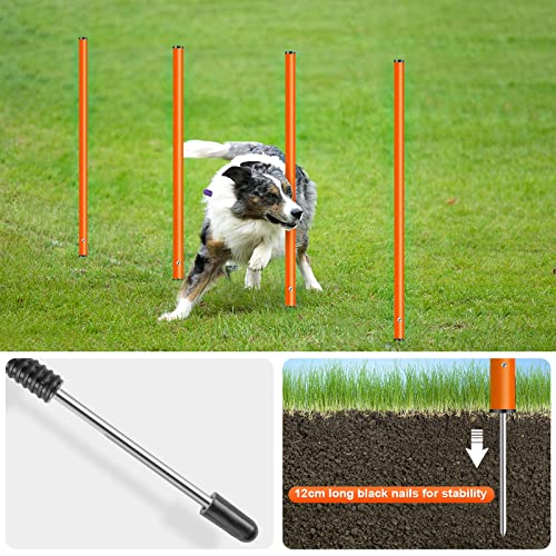 Tresbro Upgrade Dog Agility Set de Agilidad para Perros, 3 en 1 Entrenamiento para Mascotas, Anillo de Saltar, Silbato de Entrenamiento de Perros, Barra de Obstáculos, Altura Ajustable para Perros