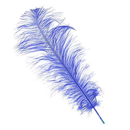 Trimming Shop Plumas reales de avestruz (10 unidades), espadas Showgirl – para decorar disfraces, tocados, bodas y fiestas – Jugar con mascotas y plumas de caballo, 50 cm – 60 cm