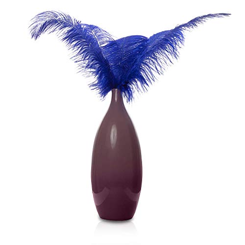 Trimming Shop Plumas reales de avestruz (10 unidades), espadas Showgirl – para decorar disfraces, tocados, bodas y fiestas – Jugar con mascotas y plumas de caballo, 50 cm – 60 cm