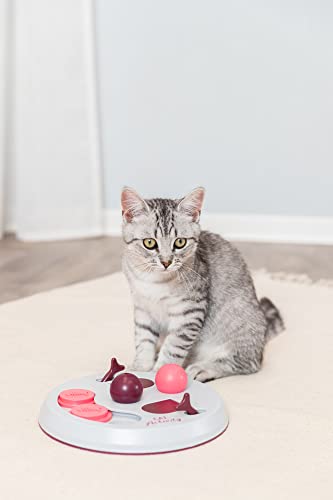 Trixie Cat Activity Flip Board