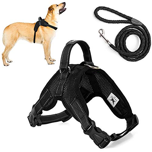 Trongle Arnés para Perros, Cómodo Transpirable Chaleco Ajustable Arnés para Perros, Chaleco Suave Acolchado para El Pecho, Chaleco para Perros Cómodo y Duradero, Medianos ( M)