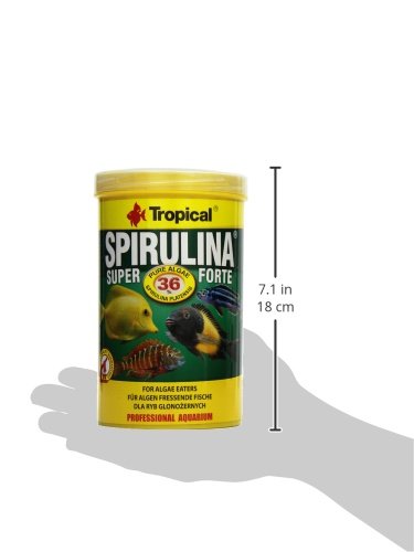 Tropical Super Spirulina Forte (36%) - Pienso en Copos (1 x 1 l)