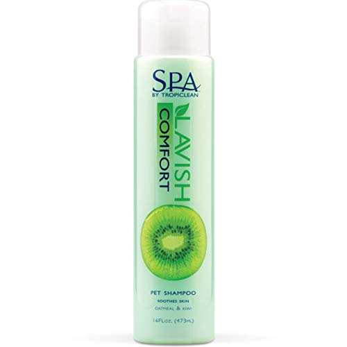 TROPICLEAN SPA Champú Comfort para Mascotas - Aromaterapia Reconfortante - Calma la Piel, Suaviza el Manto I para Perros y Gatos I Ambientalmente Seguro, Libre de Crueldad - Avena y Kiwi, 473 ml