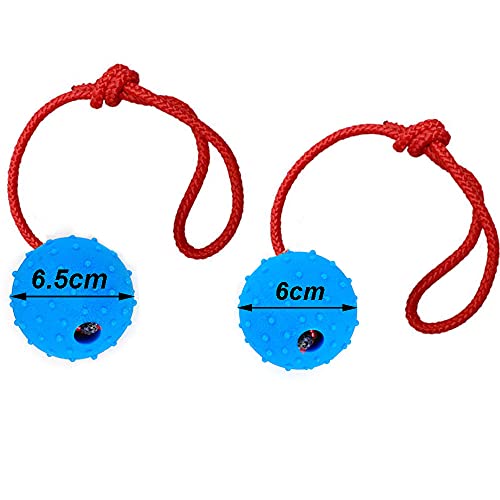 Tucireat 2 Piezas Bolas de Perro en Una Cuerda Pelota de Caucho Natural para Perros Pelota para Perro con Cuerda Pelota Juguete en Una Cuerda Pelota con Cuerda para Perros para Buscar Atrapar