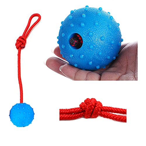 Tucireat 2 Piezas Bolas de Perro en Una Cuerda Pelota de Caucho Natural para Perros Pelota para Perro con Cuerda Pelota Juguete en Una Cuerda Pelota con Cuerda para Perros para Buscar Atrapar