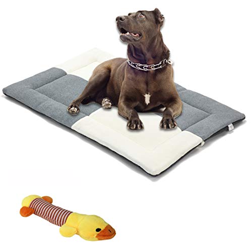 TVMALL Colchoneta Perros Cama para Gatos cojín para sofá Cama Lavable para Gatos Grandes medianos y pequeños Forros Mantas Perros Suave y cómoda Almohadas para Perros - Can be Used on Both Sides