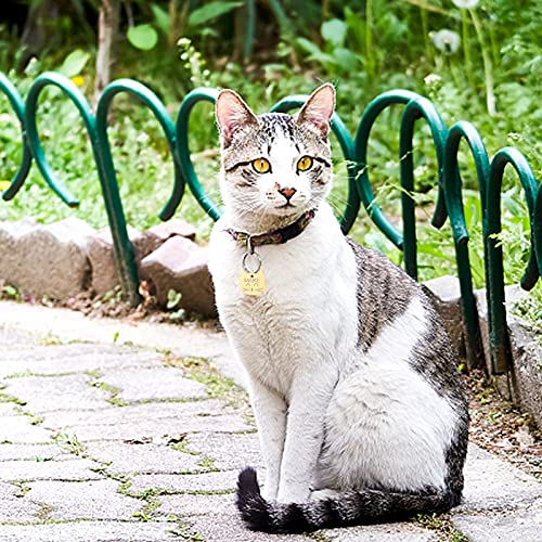 Uiopa Chapas para Gatos, Personalizado Etiquetas de Identificación de Acero Inoxidable para Gato Chapa Perro Grabada, Placa Perro Grabada para Collar Gato Perro Mascota (Plateado, Pequeño)