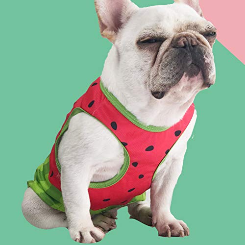 UKCOCO Refrigeración para Perros Adorable Pet Cooling Clothes Mascota Perro Chaleco Patrón de sandía Cachorro Camiseta Perro Ropa de Verano (Talla XL)