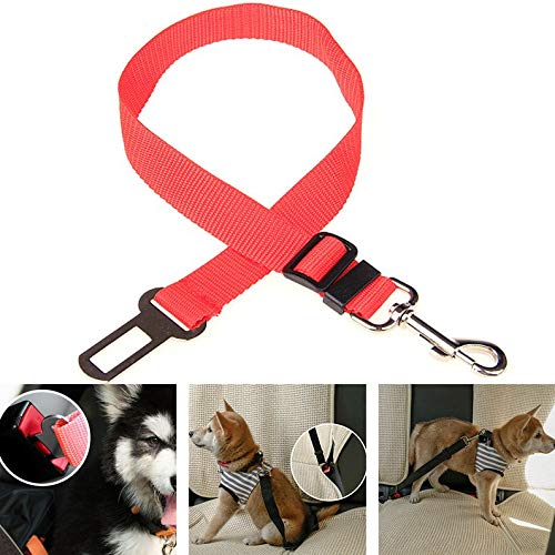 ukYukiko Correa ajustable para cinturón de seguridad para mascotas, coche, coche, coche, viaje, coche, color rojo