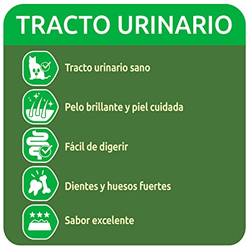 ultima Pienso para Gatos con Problemas del tracto urinario: Pack de 5 x 750 g - Total: 3,75 kg