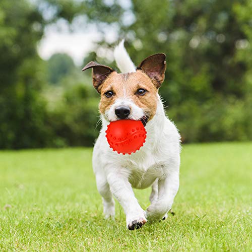 umorismo Paquete de 4 bolas de juguete para mascotas con sonido, no tóxicas para cachorros