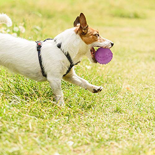 umorismo Paquete de 4 bolas de juguete para mascotas con sonido, no tóxicas para cachorros