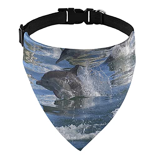 Un grupo de delfines con picos largos saltó del agua Collar de martingala ajustable, baberos de saliva para mascotas collares regulares para gatos, pañuelos con hebilla triangular, baberos de pañuelo