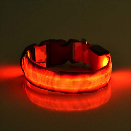 Uniquelove Diseño De Camuflaje Seguridad Nocturna Collar De Perro con Led Brillante Collar De Luz Antipérdida para Perros Cachorros Suministros para Perros Frescos De Noche - Batería Blanca S