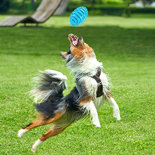 V-HANVER Juguetes Perros Resistentes, Juguete de Goma Natural No Tóxico para Perros, Cepillo de Dientes Duradero para Perros Medianos Grandes, Divertido de Masticar, Perseguir (Sabor a Ternera)