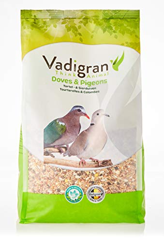 VADIGRAN - Alimento para Turquesa, 4 kg