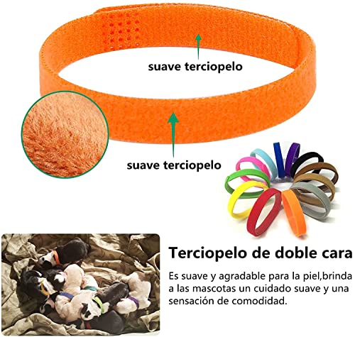 VEGCOO 20PCS Collar de Mascota, Collar de Identificación de Cachorro y Gatitos, Collar de Nacimiento de Cachorro y Gatito, Collar de Cachorro Ajustable Colores Surtidos (L-35cm)