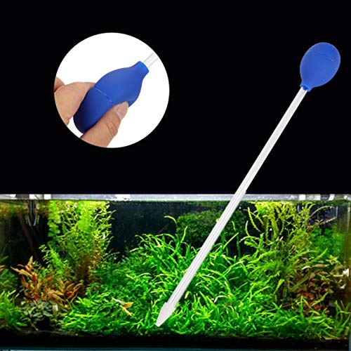 Venta Loca Cambiador de Agua de acrílico Suave, alimentador de Coral, Duradero para Tanques de Peces de alimentación de Coral(Blue, Coral Feeding Tube)