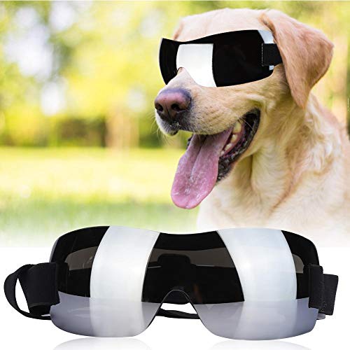 Venta Loca Gafas para Mascotas sin Marco, protección Profesional Anti UV, Correas Ajustables, Gafas de plástico para Perros, Gafas Anti UV para Perros, con Lentes súper Grandes, perr