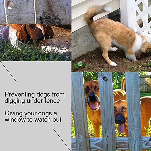 Ventana de Valla para Mascotas - Cúpula acrílica Duradera Ventana de Vista para Vallas de Mascotas para Gatos Los Perros evitan Saltos de Vallas, reducen ladridos y excavaciones,