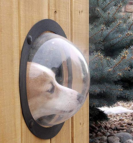 Ventana de Valla para Mascotas - Cúpula acrílica Duradera Ventana de Vista para Vallas de Mascotas para Gatos Los Perros evitan Saltos de Vallas, reducen ladridos y excavaciones,