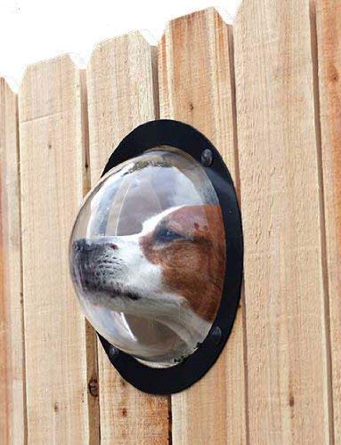 Ventana de Valla para Mascotas - Cúpula acrílica Duradera Ventana de Vista para Vallas de Mascotas para Gatos Los Perros evitan Saltos de Vallas, reducen ladridos y excavaciones,