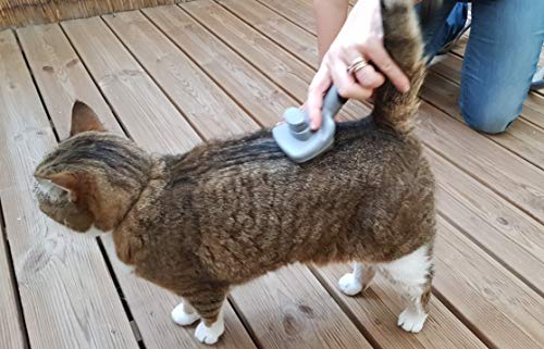 Vetocanis Cepillo de cardado retráctil y autolimpiante para Gatos, 0,16301 kg